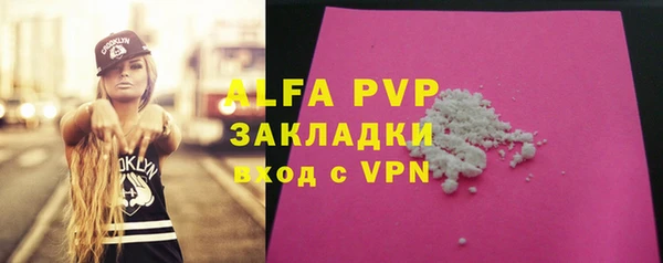 СК Новодвинск