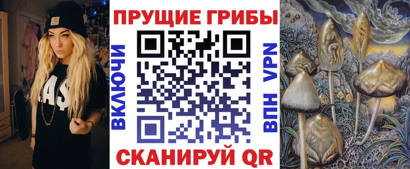 цены   Севастополь  Псилоцибиновые грибы MAGIC MUSHROOMS 